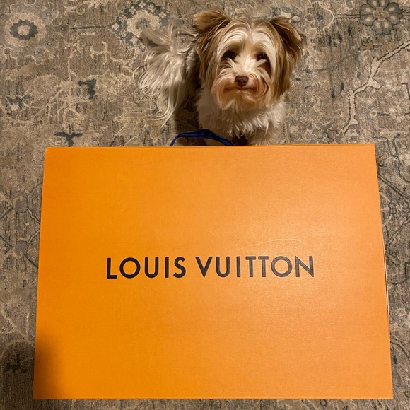 COPY - BRAND NEW Authentic Louis Vuitton XXL Luggage Box - Picture 8 of 16